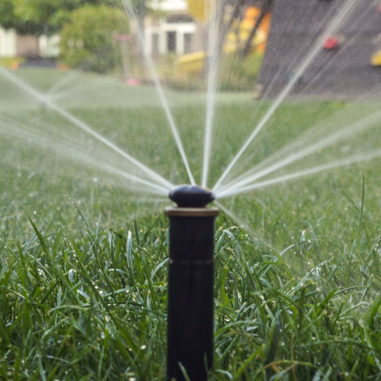 Landscaping in San Antonio, TX Landscaping in San Antonio, TX