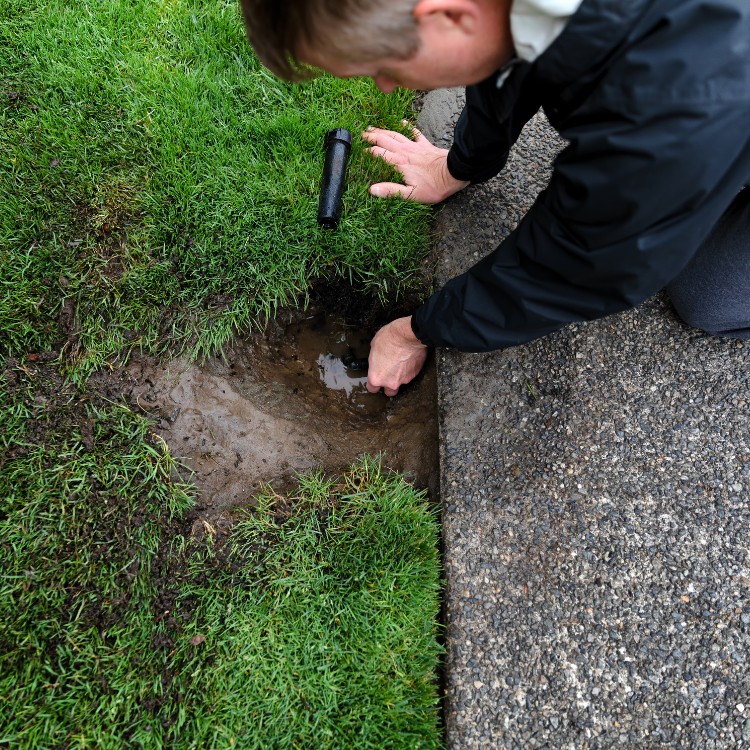 Landscaping in San Antonio, TX Landscaping in San Antonio, TX