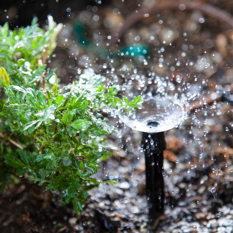 Landscaping in San Antonio, TX Landscaping in San Antonio, TX