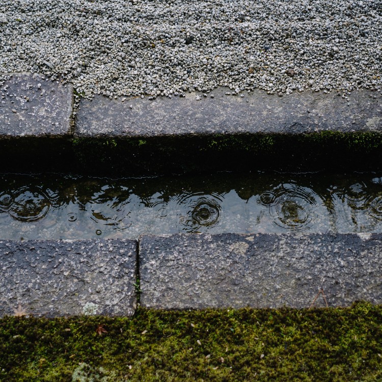 Landscaping in San Antonio, TX Landscaping in San Antonio, TX